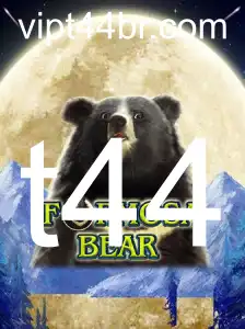 Descubra o Universo de FormosaBear: Um Guia Completo